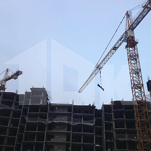IMG_0984.jpg