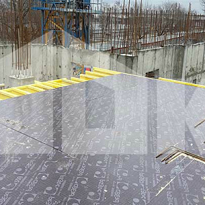 2014-02-18-025.jpg